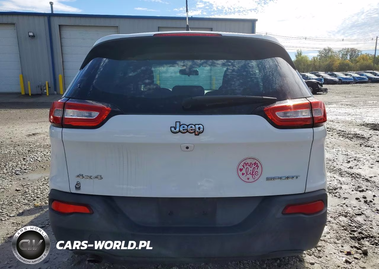 2014 Jeep Cherokee Sport VIN:1C4PJMAB6EW166563 - 6
