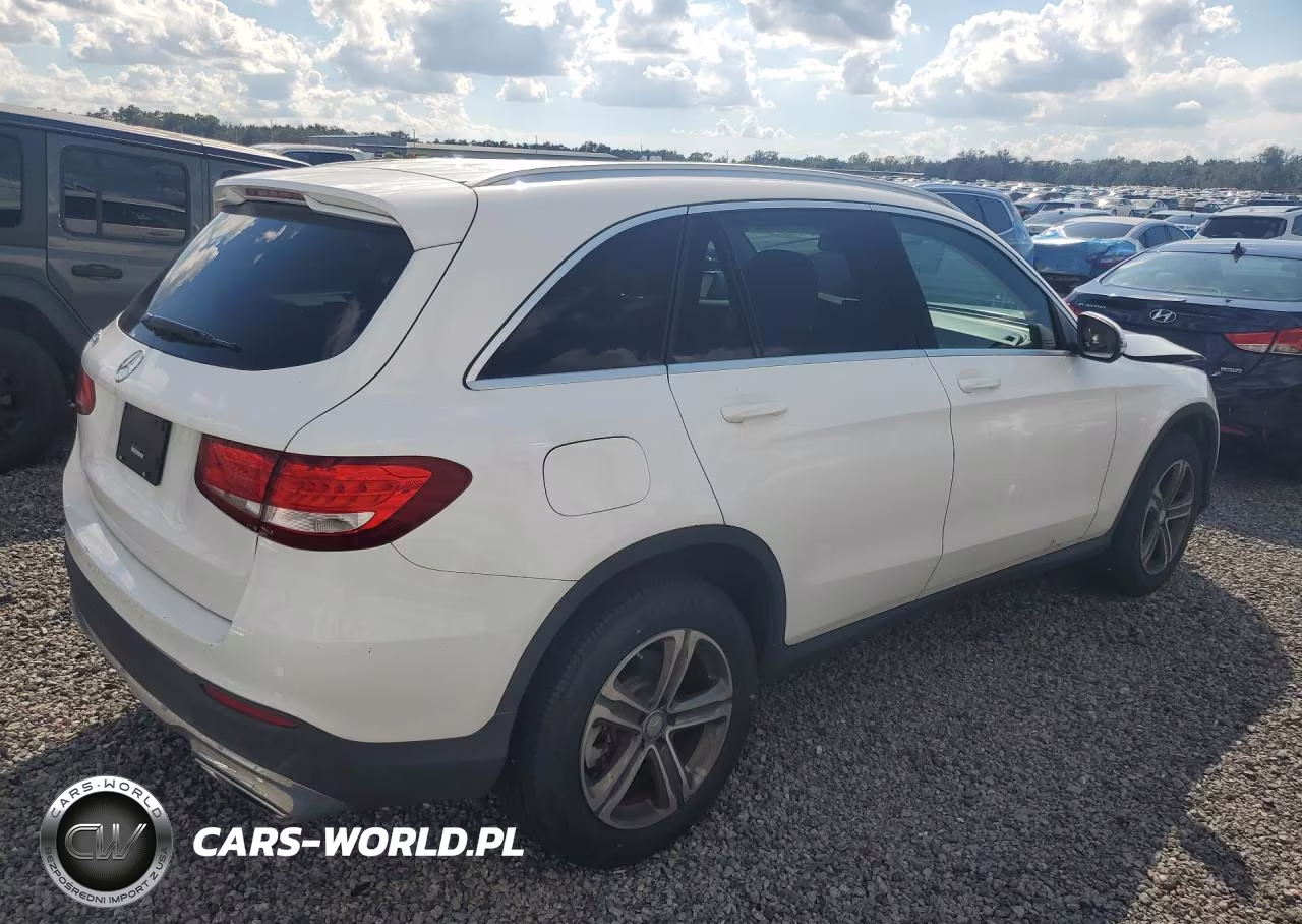 2016 Mercedes-Benz Glc 300 VIN:WDC0G4JB0GF076810 - 3