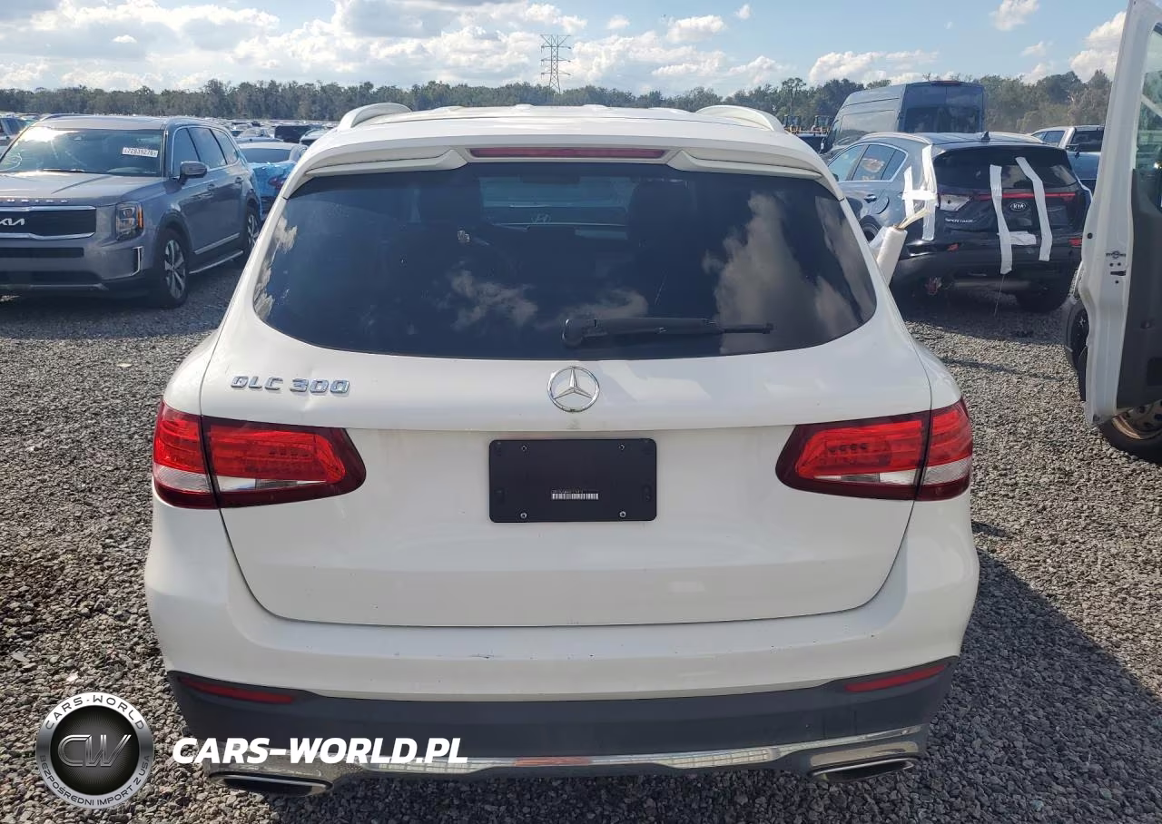 2016 Mercedes-Benz Glc 300 VIN:WDC0G4JB0GF076810 - 6