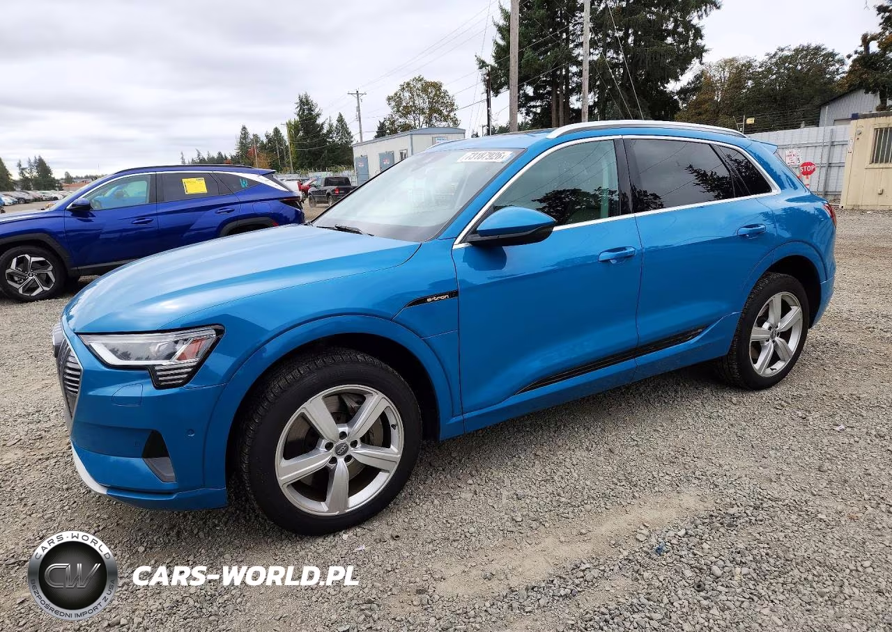 2019 Audi E-Tron Premium Plus
