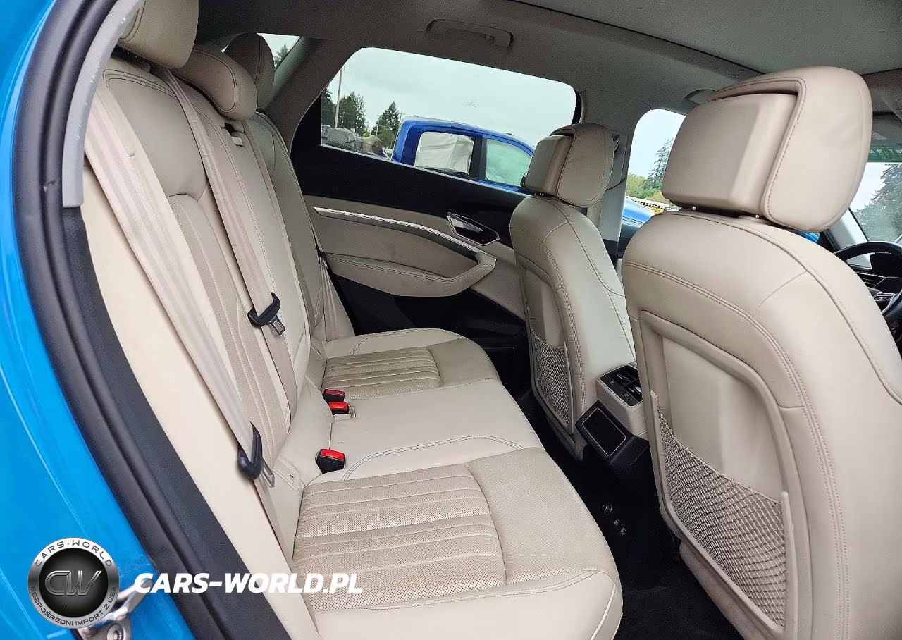 2019 Audi E-Tron Premium Plus VIN:WA1LAAGE8KB010214 - 11