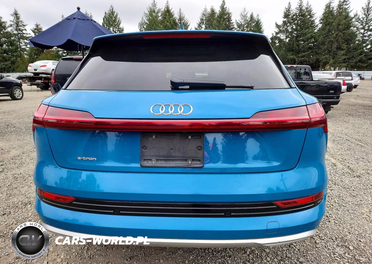 2019 Audi E-Tron Premium Plus VIN:WA1LAAGE8KB010214 - 6