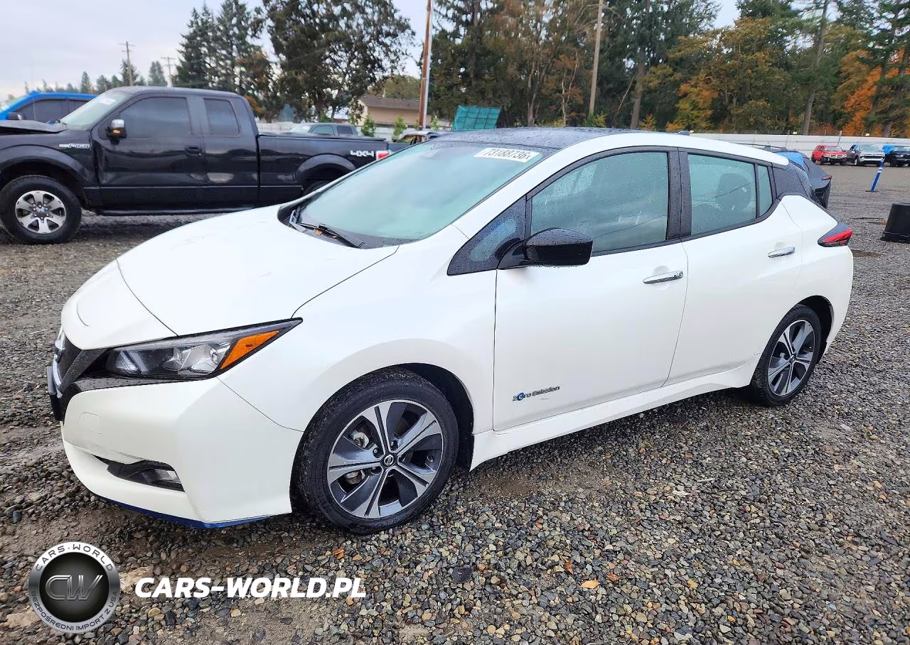 2019 Nissan Leaf Sv Plus VIN:1N4BZ1CP2KC313930 - 1