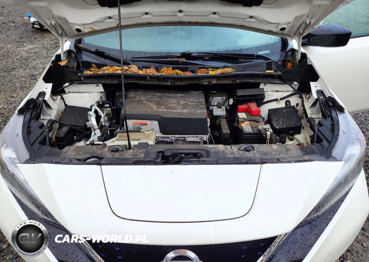 2019 Nissan Leaf Sv Plus VIN:1N4BZ1CP2KC313930 - 12