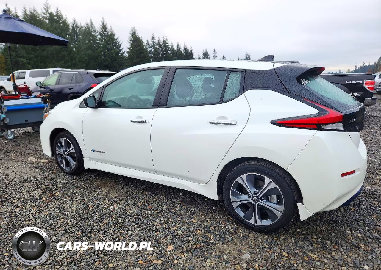 2019 Nissan Leaf Sv Plus VIN:1N4BZ1CP2KC313930 - 2