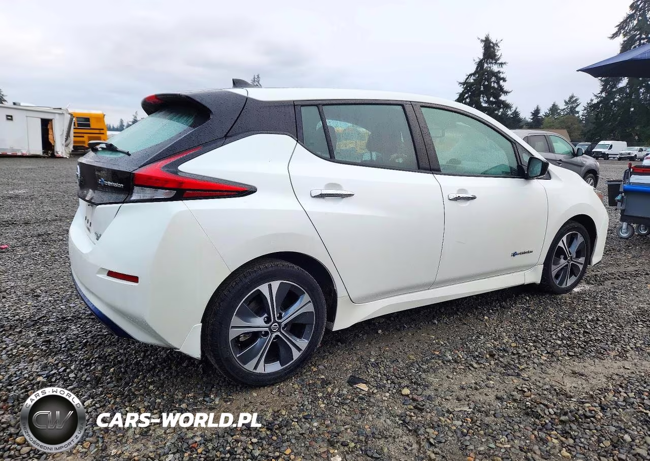 2019 Nissan Leaf Sv Plus VIN:1N4BZ1CP2KC313930 - 3