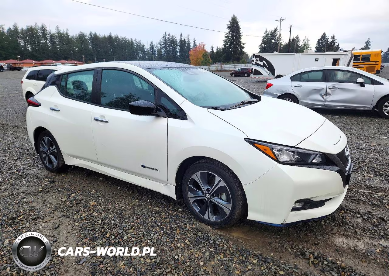 2019 Nissan Leaf Sv Plus VIN:1N4BZ1CP2KC313930 - 4