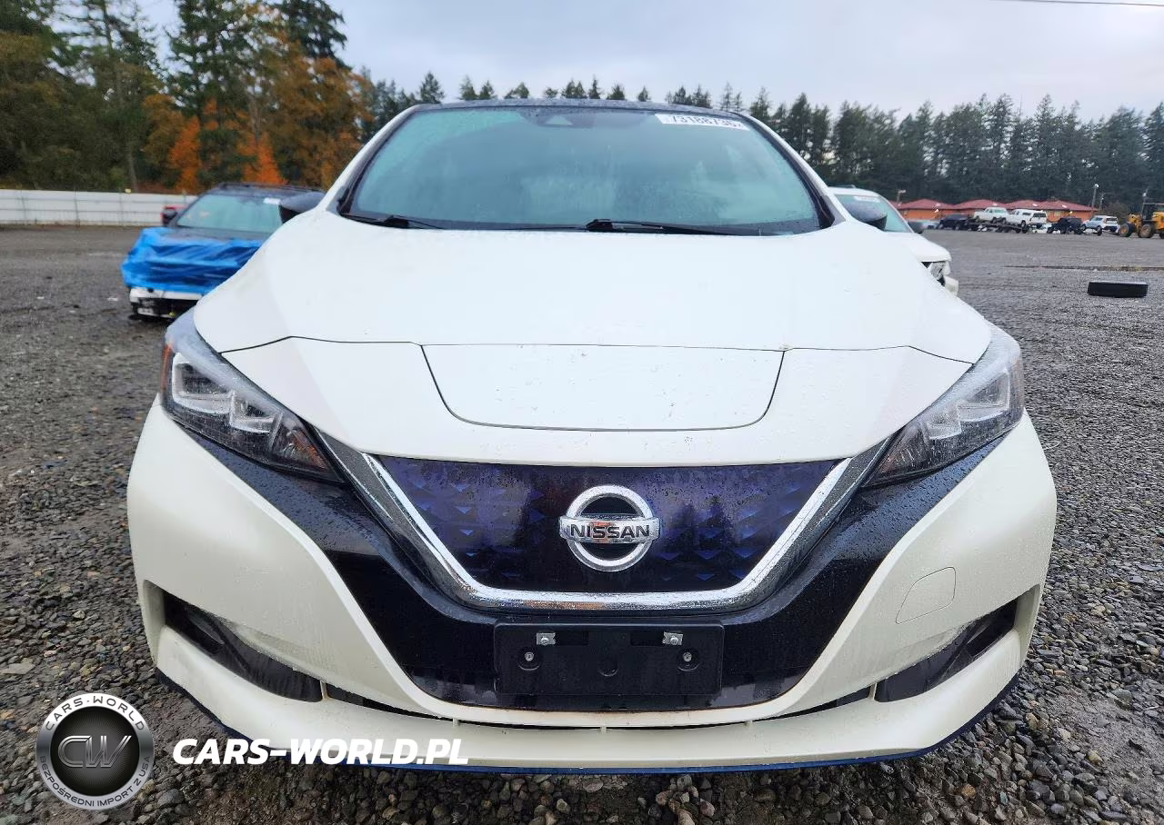 2019 Nissan Leaf Sv Plus VIN:1N4BZ1CP2KC313930 - 5