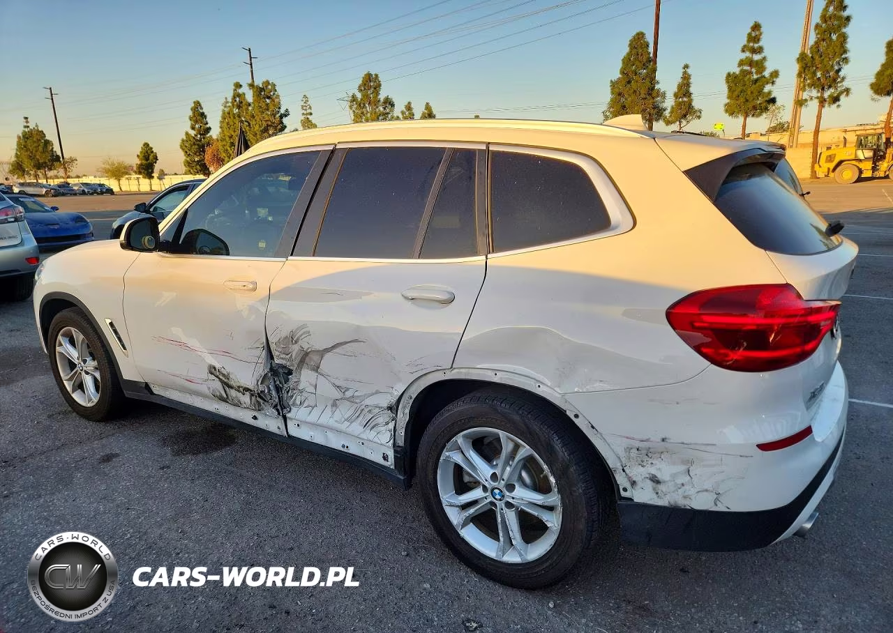 2019 BMW X3 Sdrive30I VIN:5UXTR7C5XKLR53155 - 2