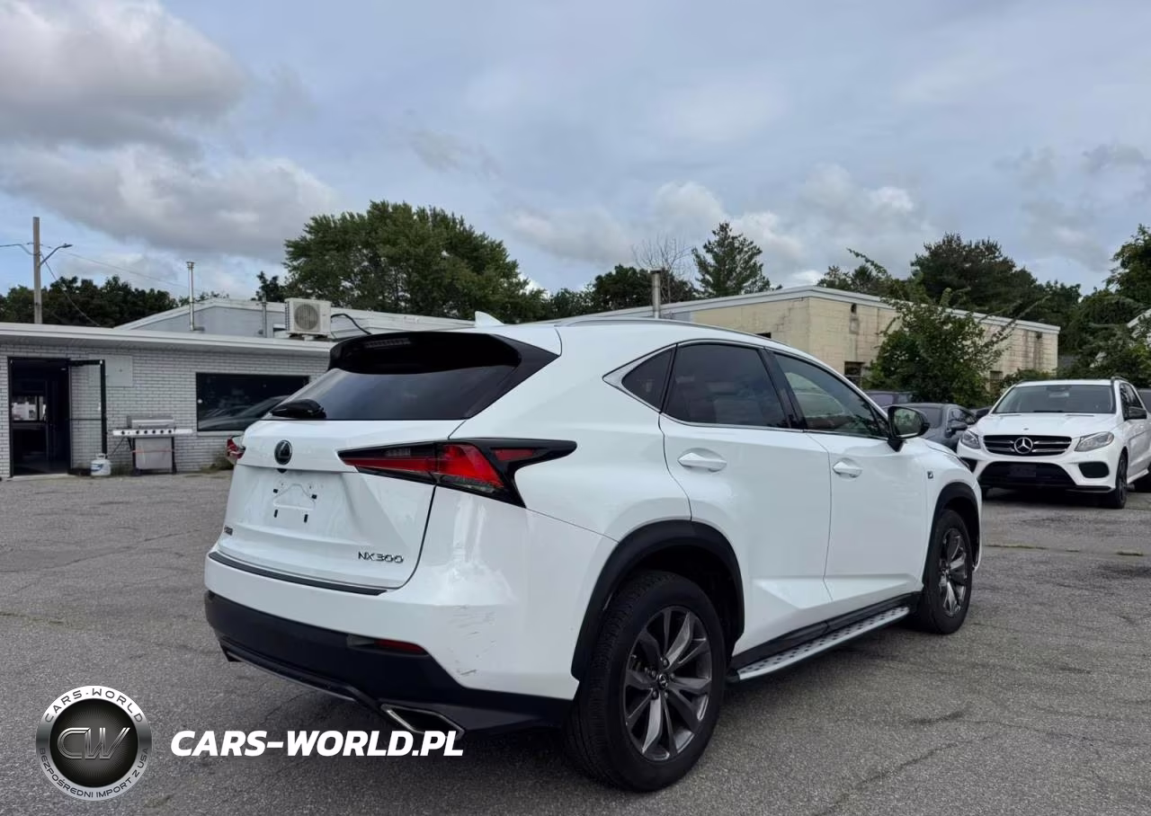 2020 Lexus Nx 300 F Sport VIN:JTJJARBZ1L5009439 - 4
