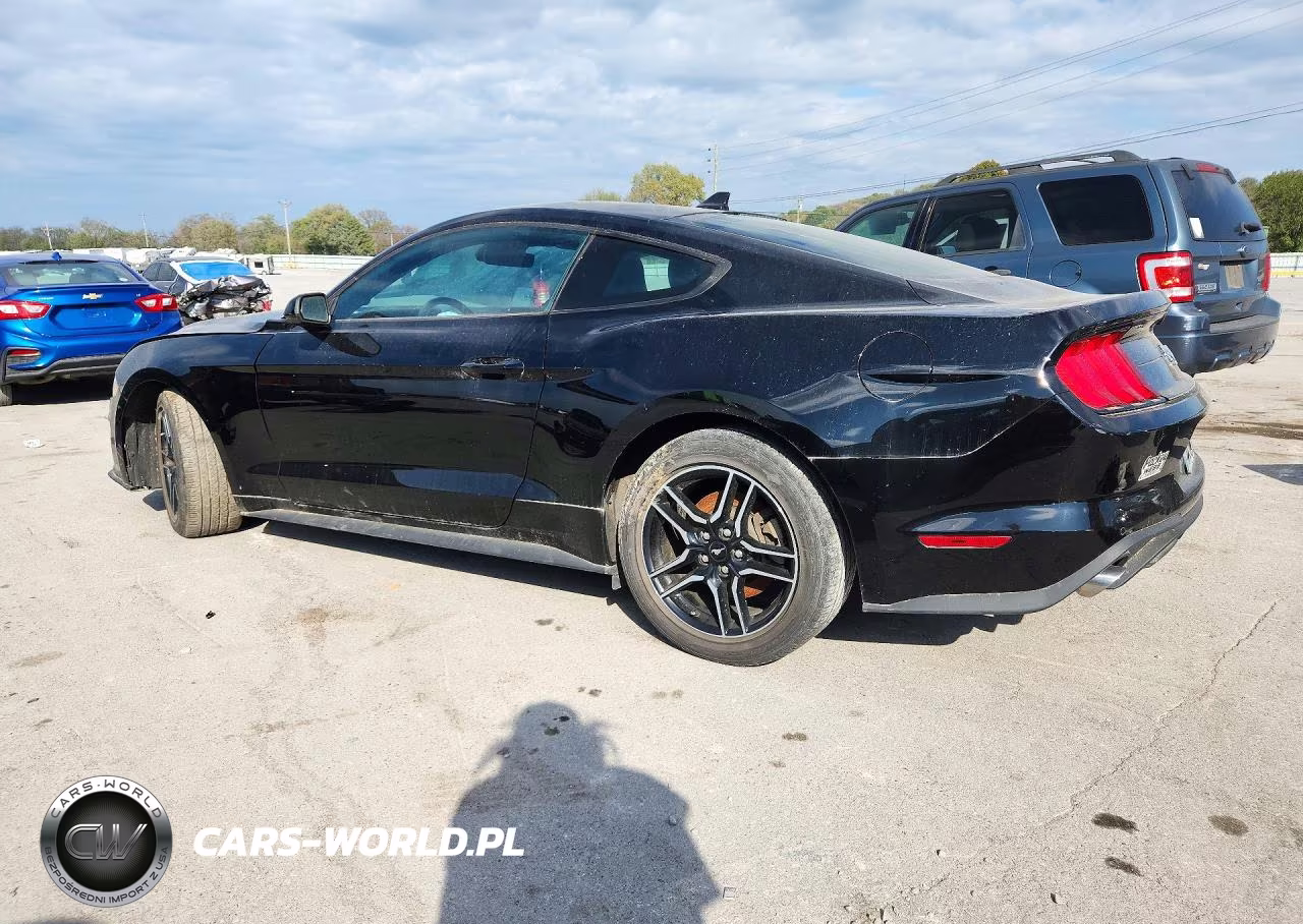 2023 Ford Mustang VIN:1FA6P8TH2P5107513 - 2