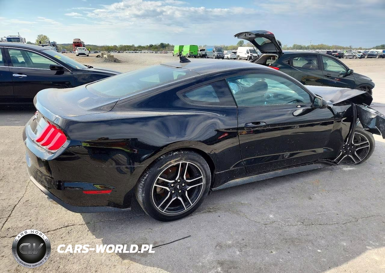 2023 Ford Mustang VIN:1FA6P8TH2P5107513 - 3
