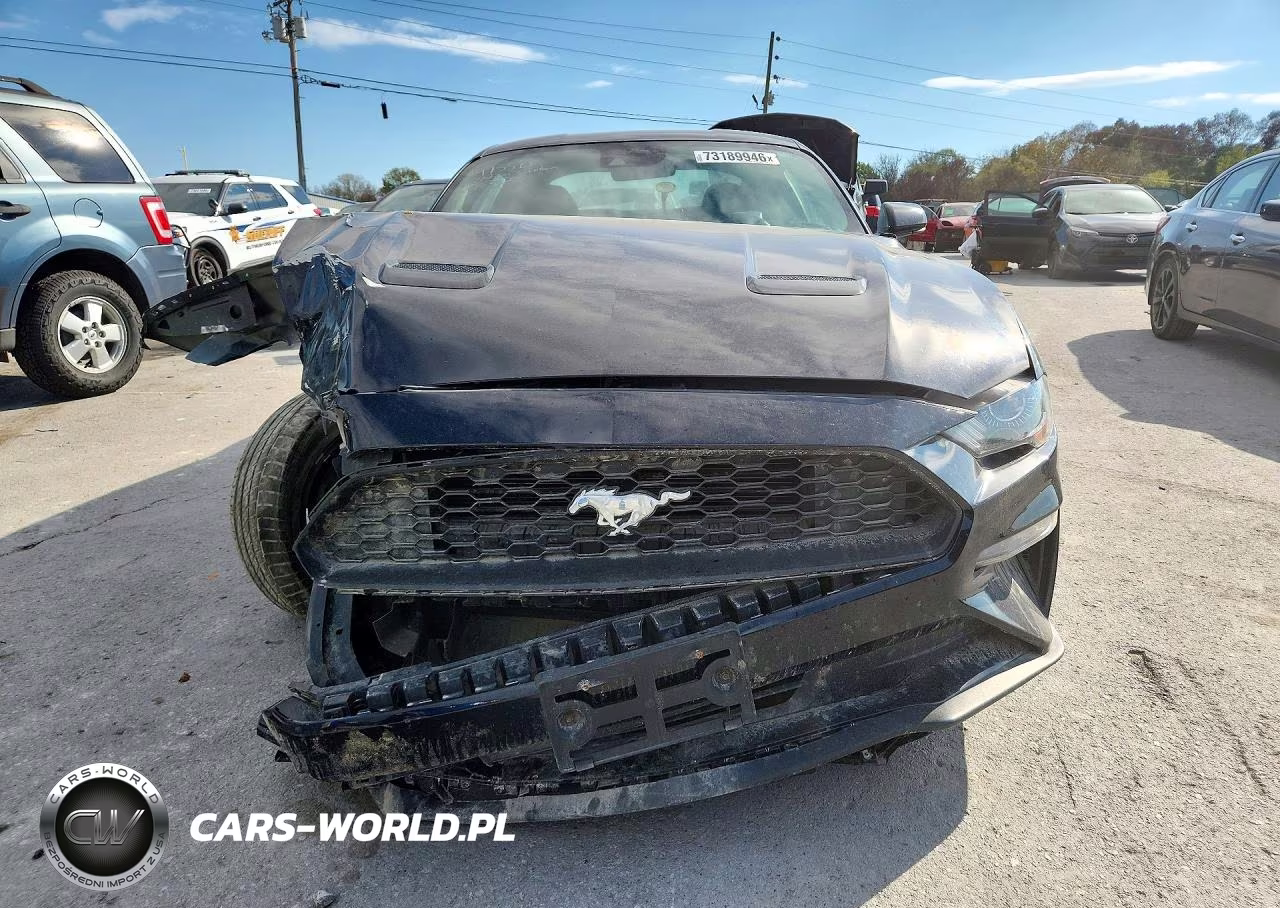 2023 Ford Mustang VIN:1FA6P8TH2P5107513 - 5