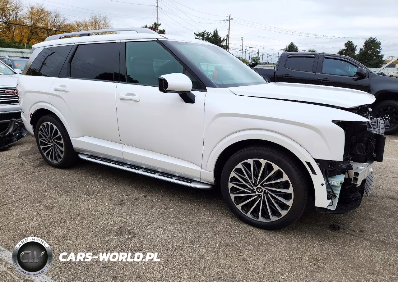 2026 Hyundai Palisade Calligraphy VIN:KM8RMES21TU018345 - 4
