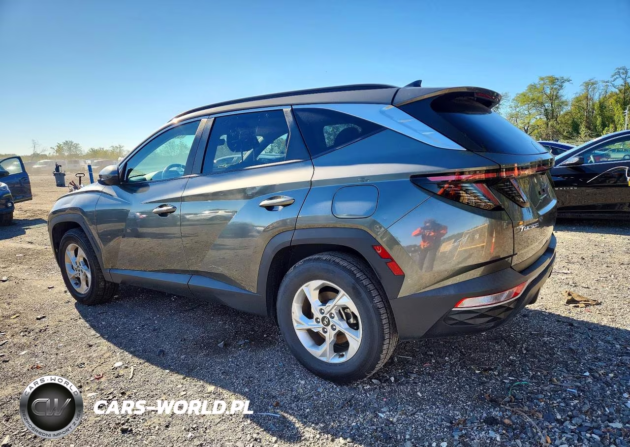 2023 Hyundai Tucson Sel VIN:5NMJBCAE1PH195286 - 2