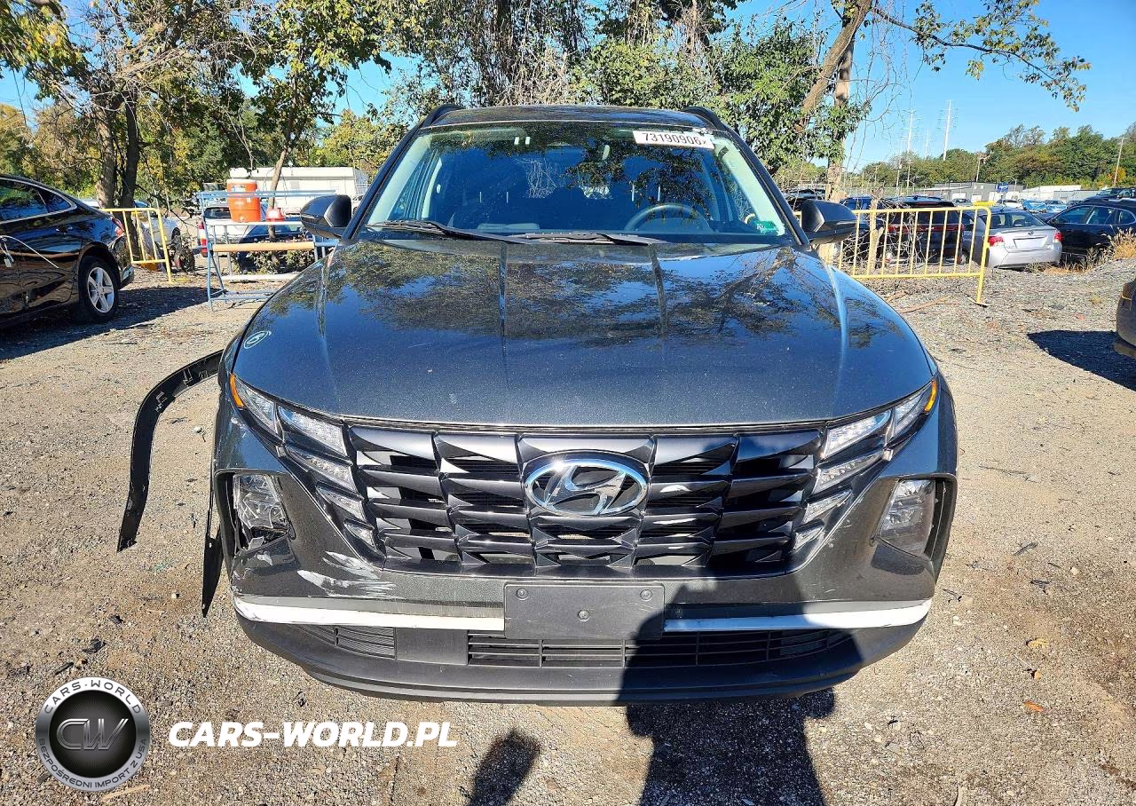 2023 Hyundai Tucson Sel VIN:5NMJBCAE1PH195286 - 5