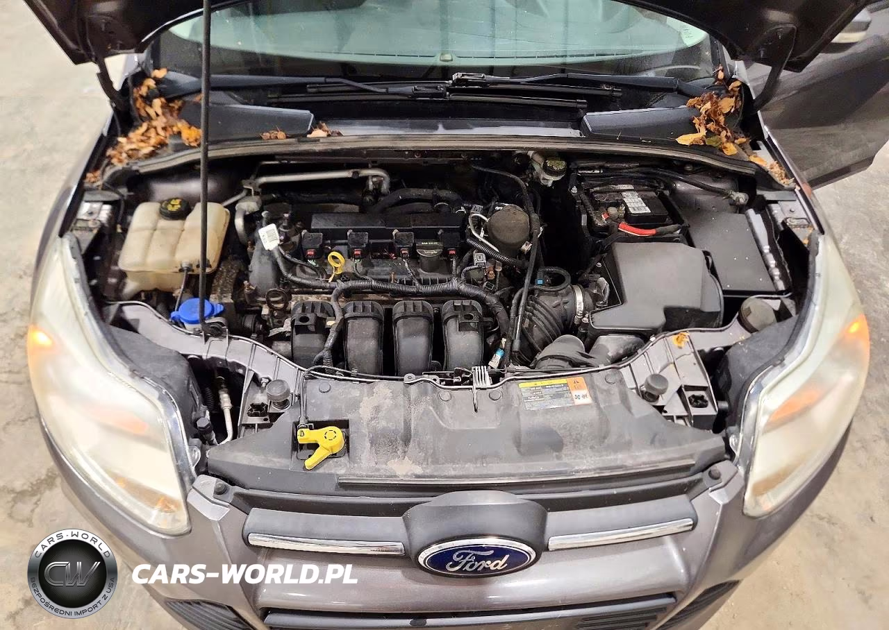 2014 Ford Focus Se VIN:1FADP3F26EL219595 - 11
