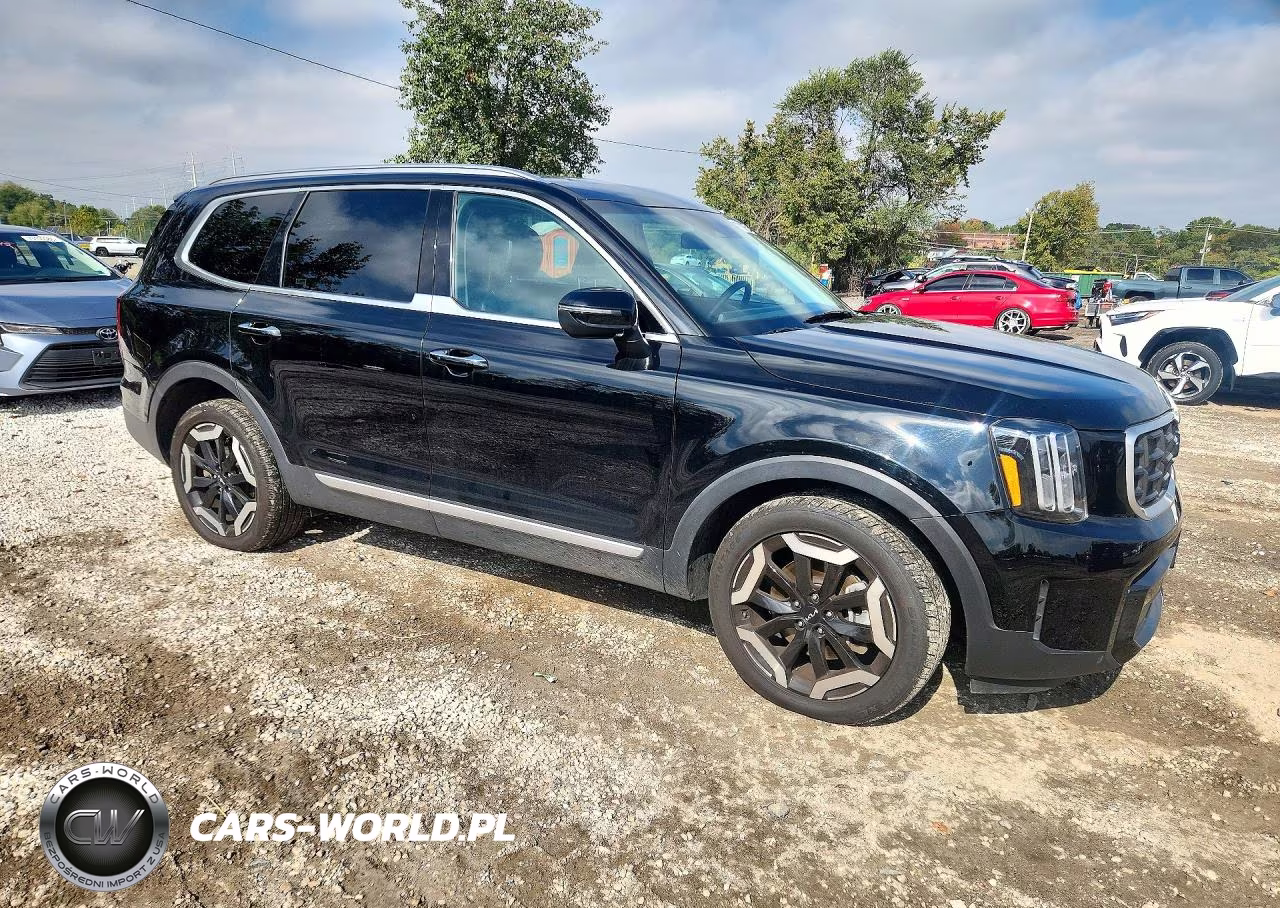 2025 Kia Telluride S VIN:5XYP6DGC6SG606095 - 4