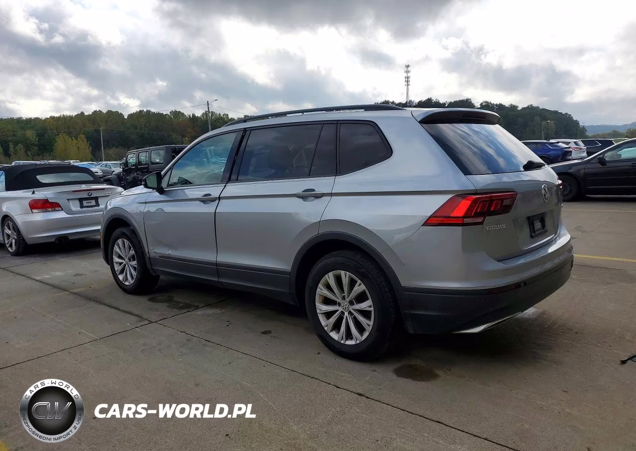 2019 Volkswagen Tiguan S VIN:3VV0B7AX1KM192819 - 2