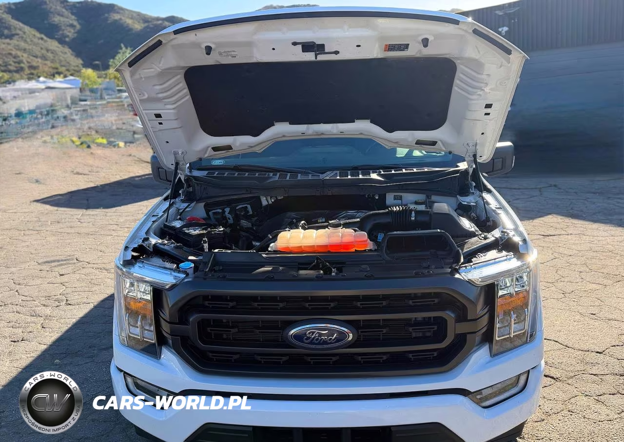 2022 Ford F-150 Xlt VIN:1FTEW1EP0NKF09632 - 7