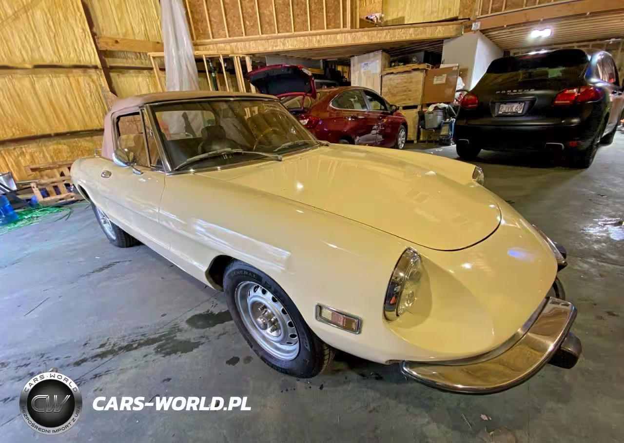 1973 Alfa Romeo Spider