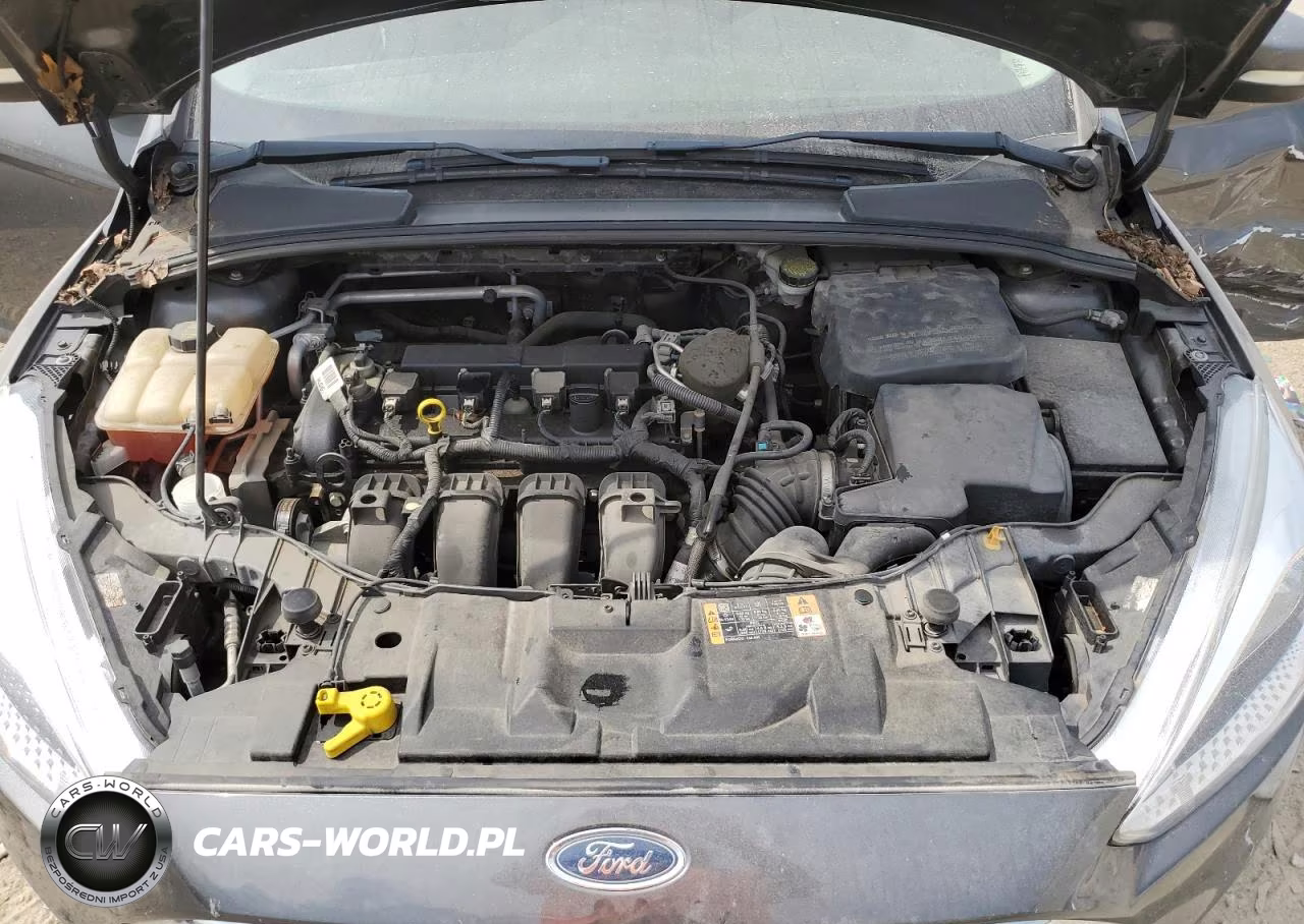 2016 Ford Focus Se VIN:1FADP3F28GL212442 - 11