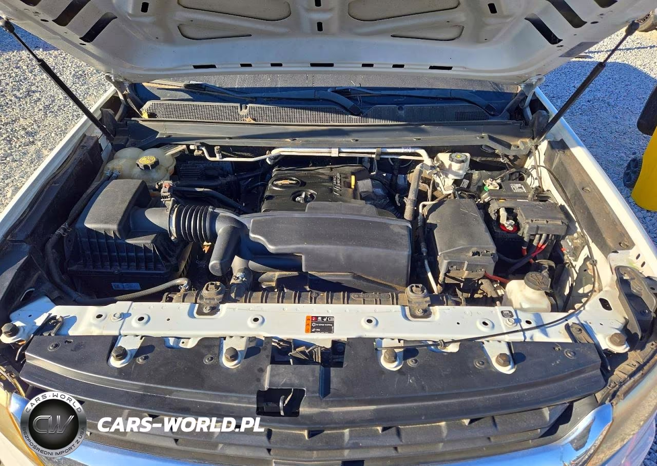 2019 Chevrolet Colorado VIN:1GCHSBEA3K1208087 - 11