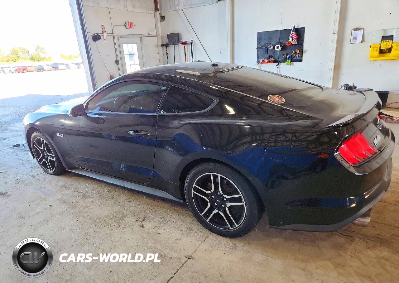 2019 Ford Mustang Gt VIN:1FA6P8CF9K5195760 - 2
