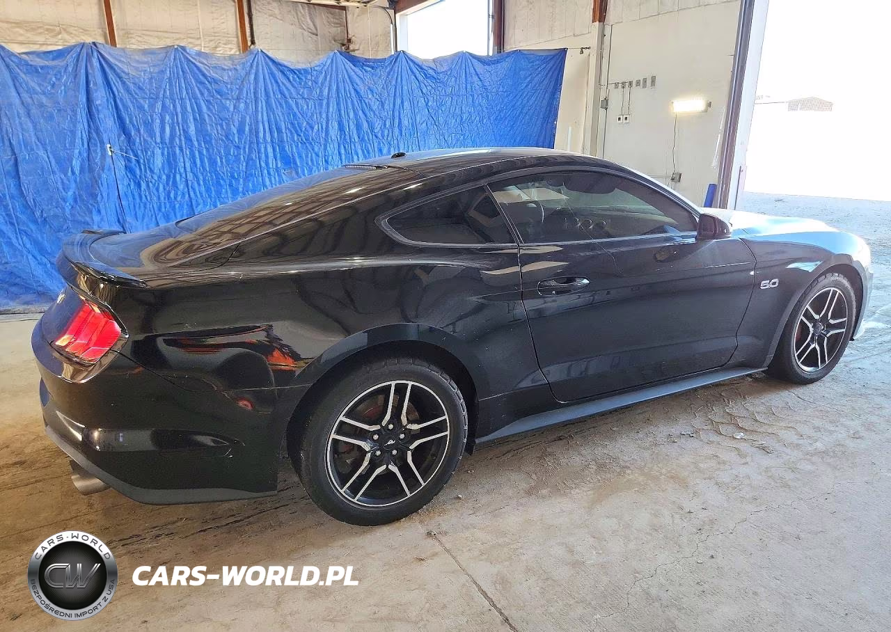 2019 Ford Mustang Gt VIN:1FA6P8CF9K5195760 - 3