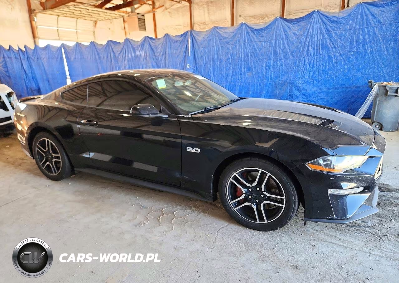 2019 Ford Mustang Gt VIN:1FA6P8CF9K5195760 - 4