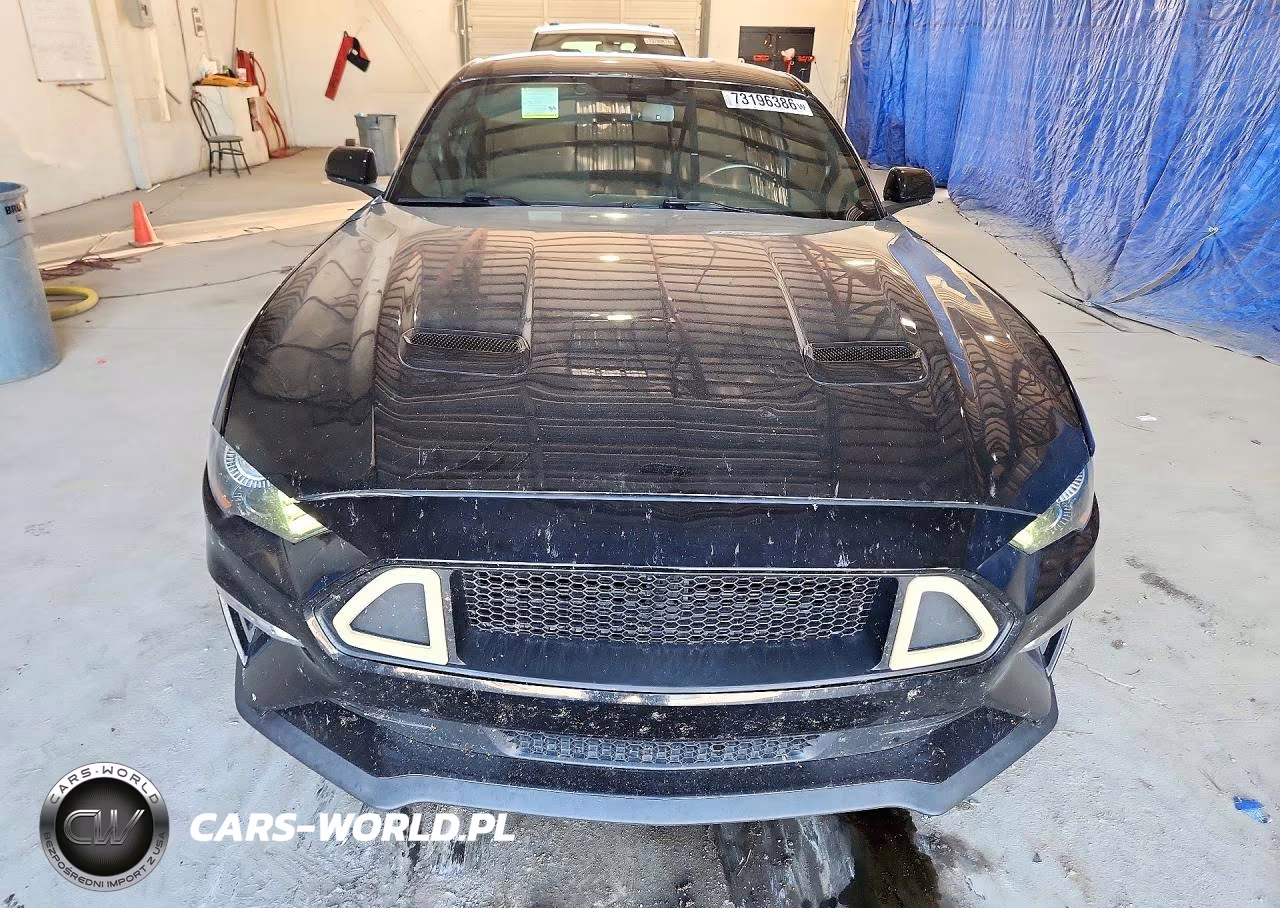2019 Ford Mustang Gt VIN:1FA6P8CF9K5195760 - 5