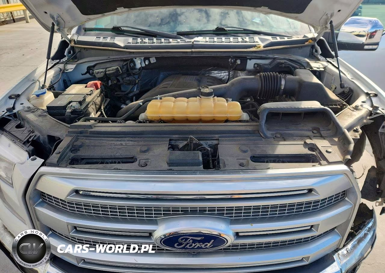 2016 Ford F150 Supercrew VIN:1FTEW1EG6GFC58577 - 11
