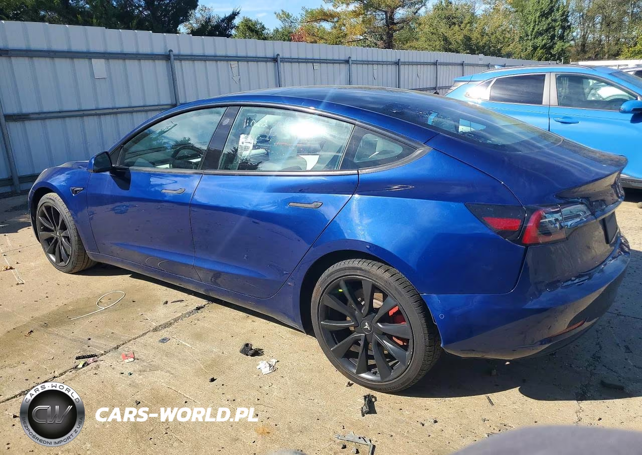 2019 Tesla Model 3 VIN:5YJ3E1EA6KF543069 - 2