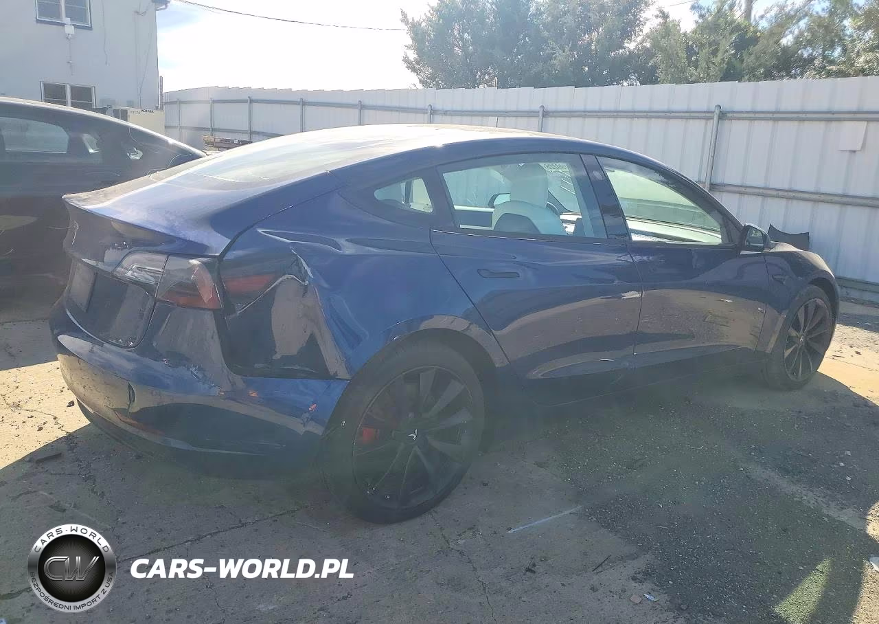 2019 Tesla Model 3 VIN:5YJ3E1EA6KF543069 - 3