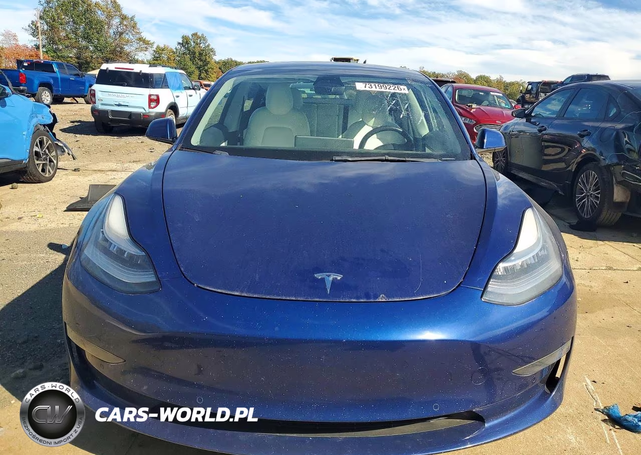 2019 Tesla Model 3 VIN:5YJ3E1EA6KF543069 - 5