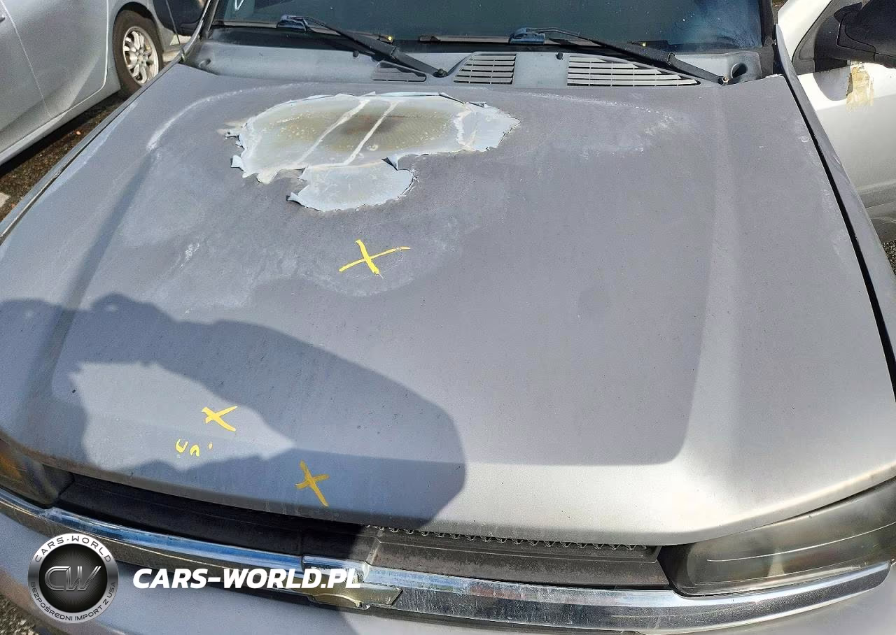 2005 Chevrolet Trailblazer Ls VIN:1GNDS13S752352543 - 12