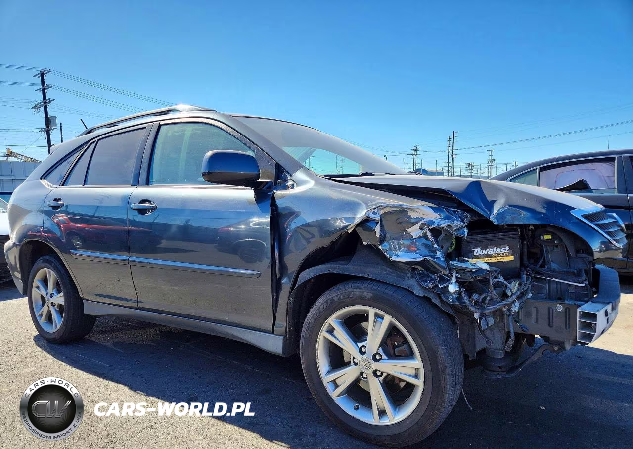 2006 Lexus Rx 400 VIN:JTJGW31U562000604 - 4