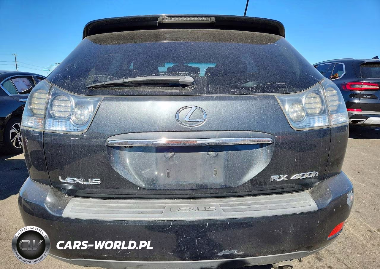 2006 Lexus Rx 400 VIN:JTJGW31U562000604 - 6