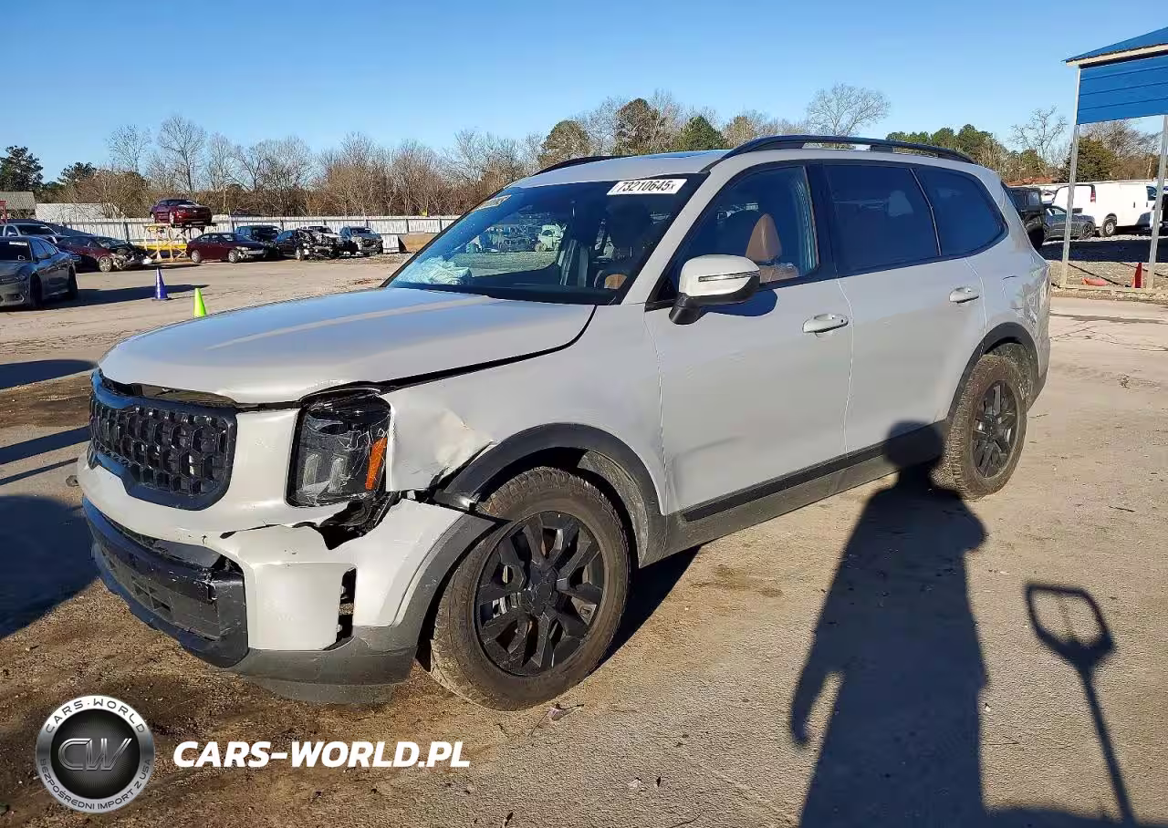 2025 Kia Telluride Ex