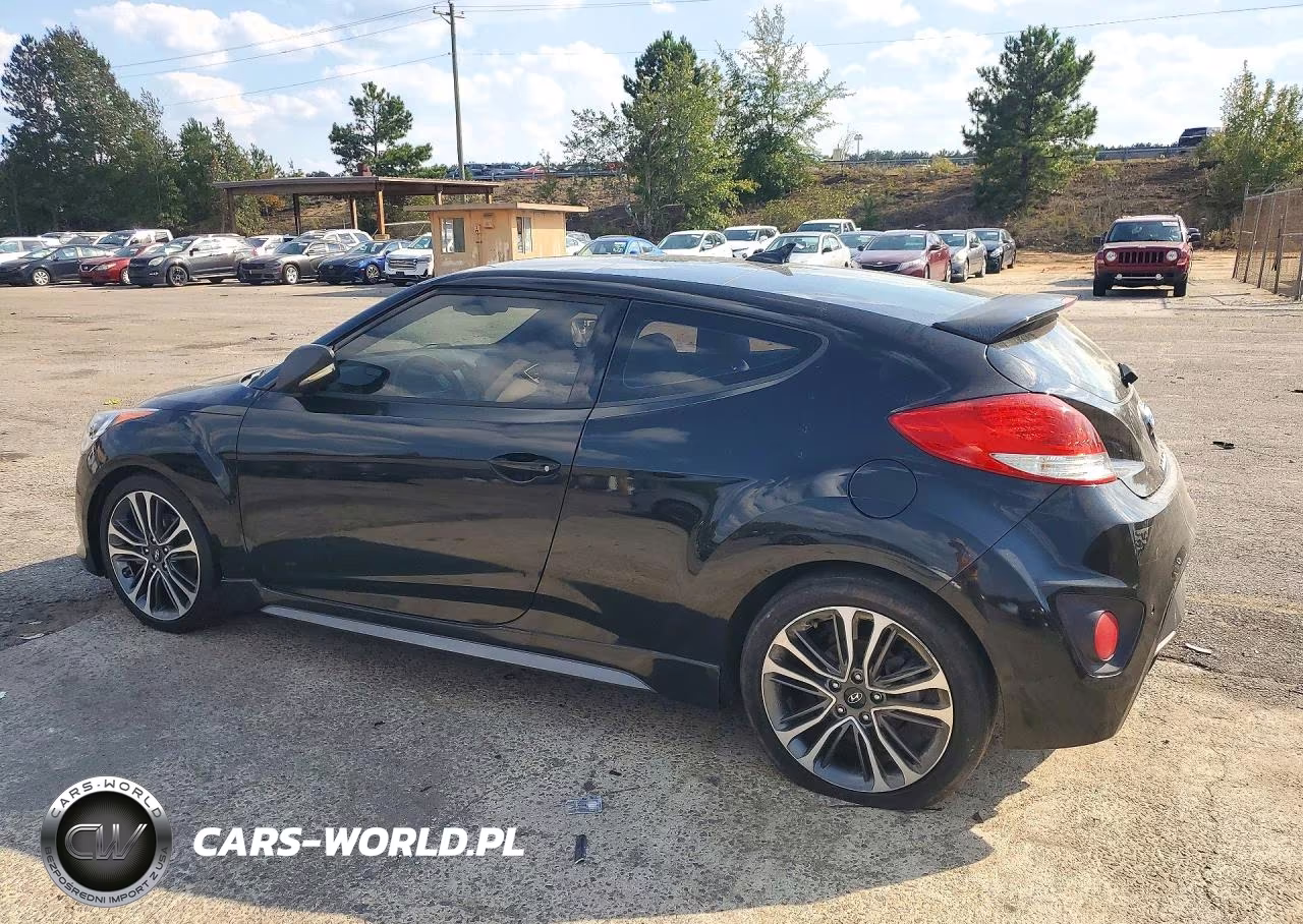 2017 Hyundai Veloster Turbo VIN:KMHTC6AE9HU309466 - 2