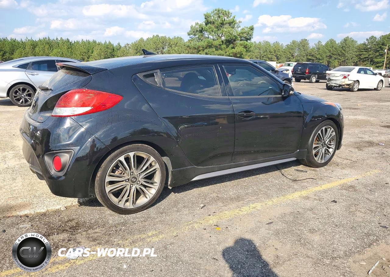 2017 Hyundai Veloster Turbo VIN:KMHTC6AE9HU309466 - 3