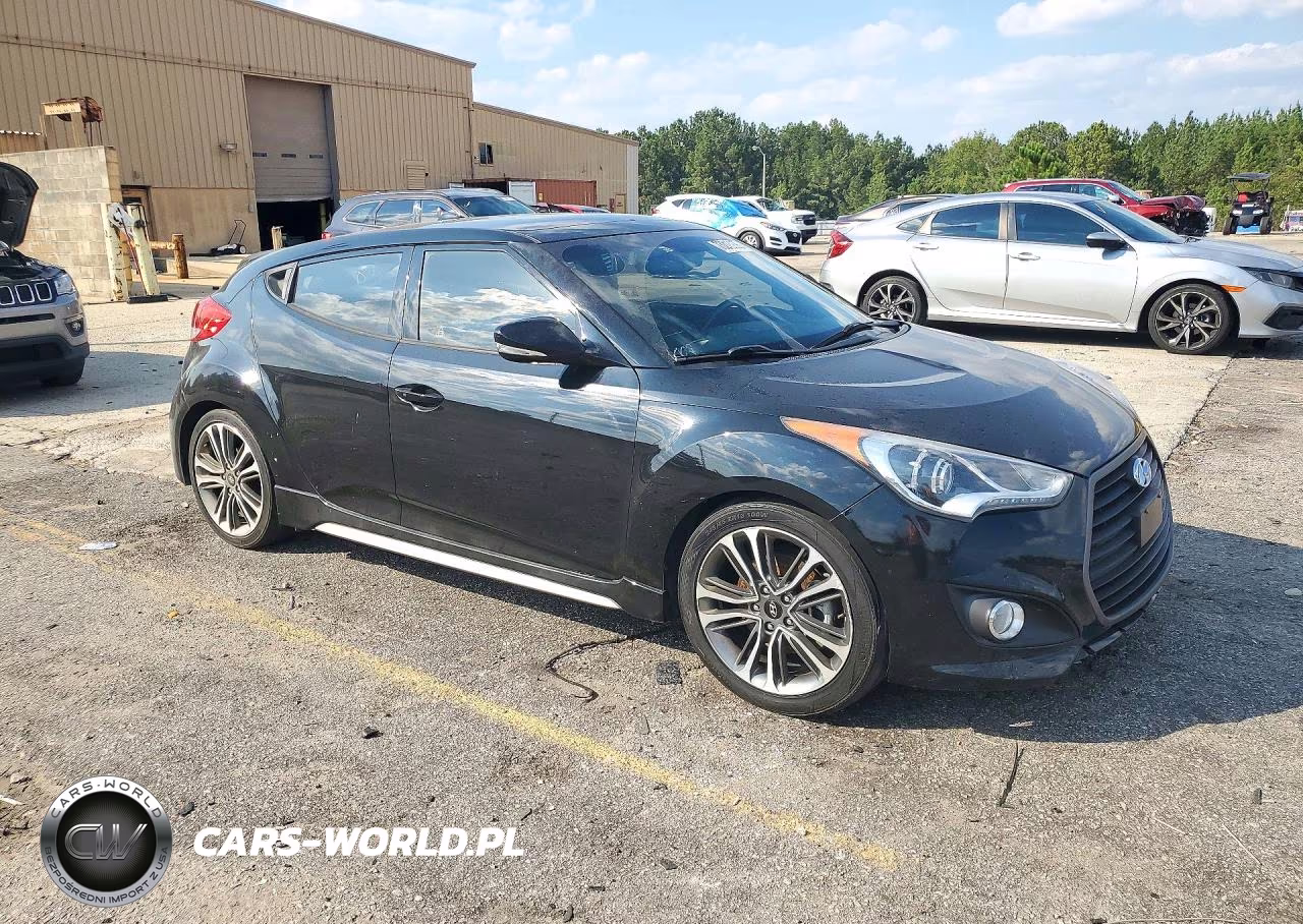 2017 Hyundai Veloster Turbo VIN:KMHTC6AE9HU309466 - 4