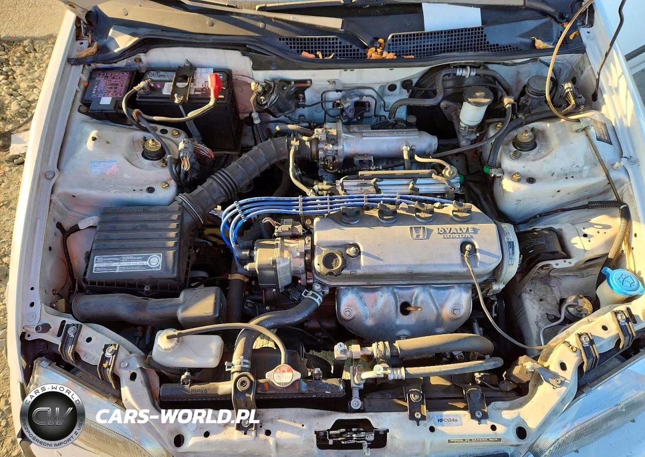 1995 Honda Civic Dx VIN:2HGEJ2128SH528058 - 11