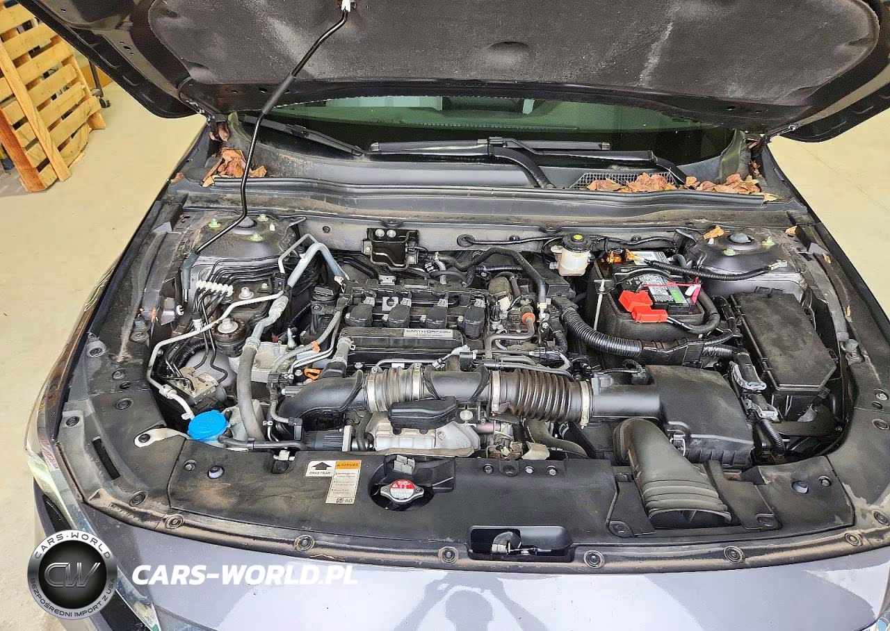 2020 Honda Accord Ex VIN:1HGCV1F40LA021901 - 11