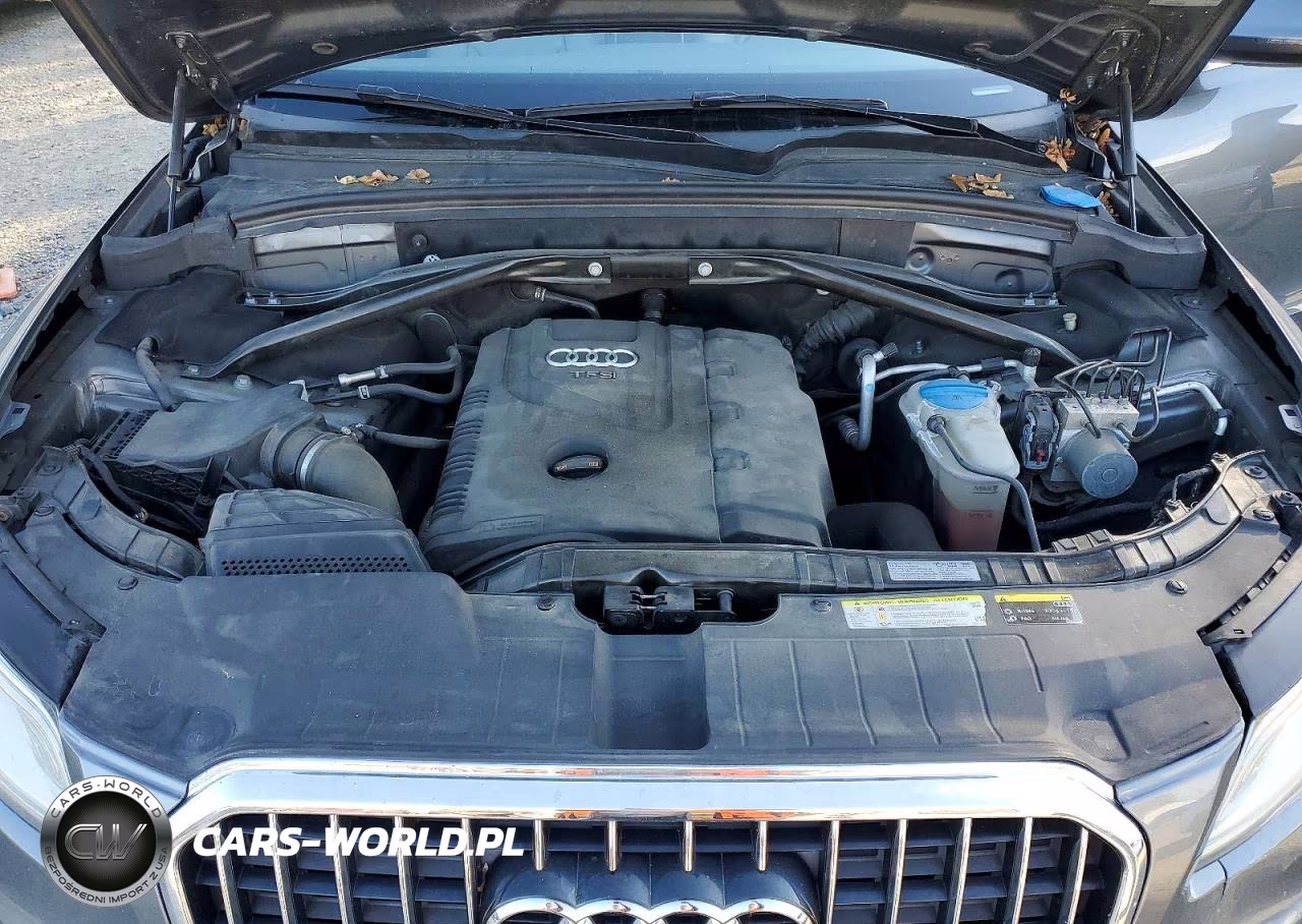 2013 Audi Q5 Premium Plus VIN:WA1LFAFP4DA021448 - 12