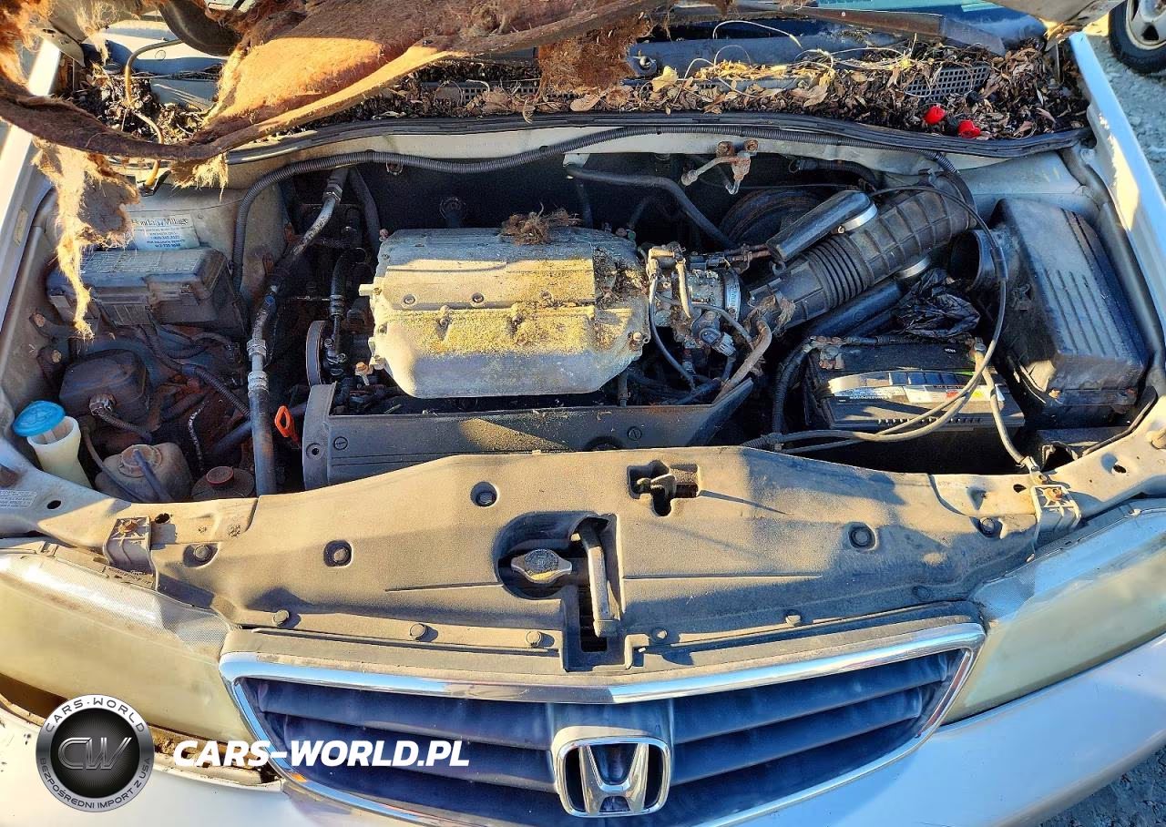 2002 Honda Odyssey Ex VIN:2HKRL18652H554718 - 11