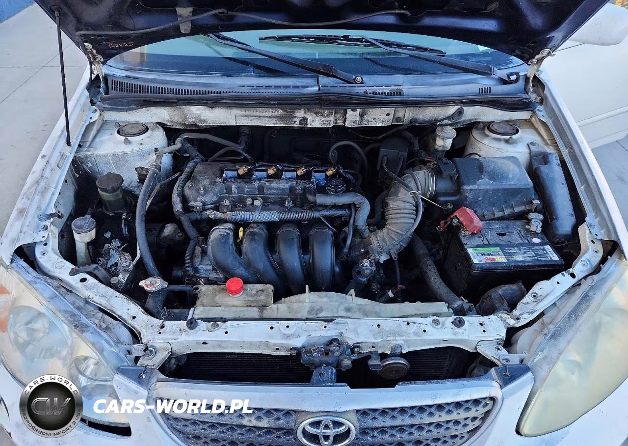 2004 Toyota Corolla Le VIN:JTDBR32E942017298 - 11