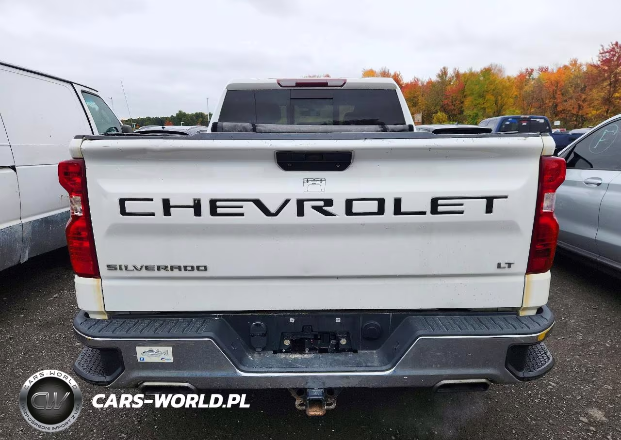 2019 Chevrolet Silverado K1500 Lt VIN:1GCRYDED0KZ310909 - 6