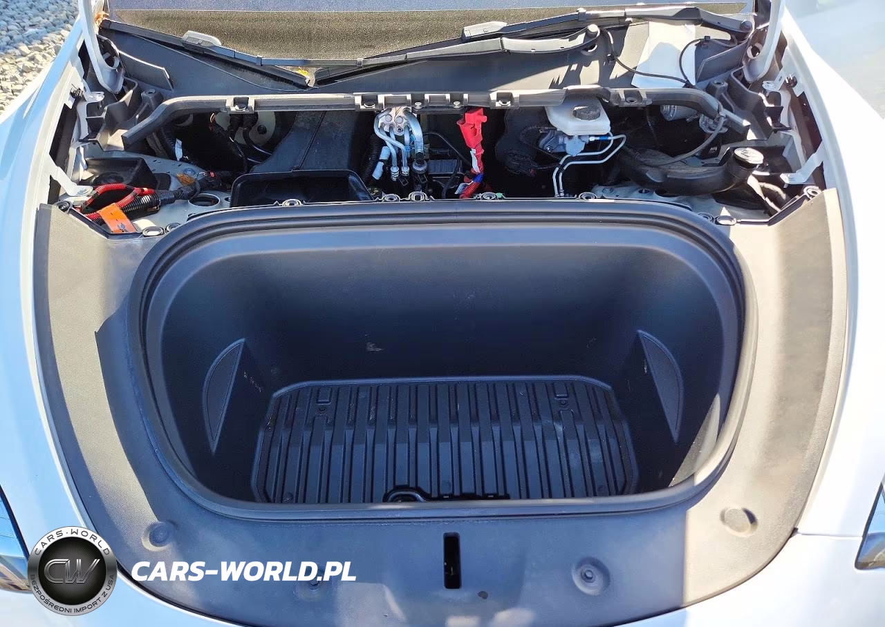 2023 Tesla Model Y VIN:7SAYGDEE7PA059519 - 11