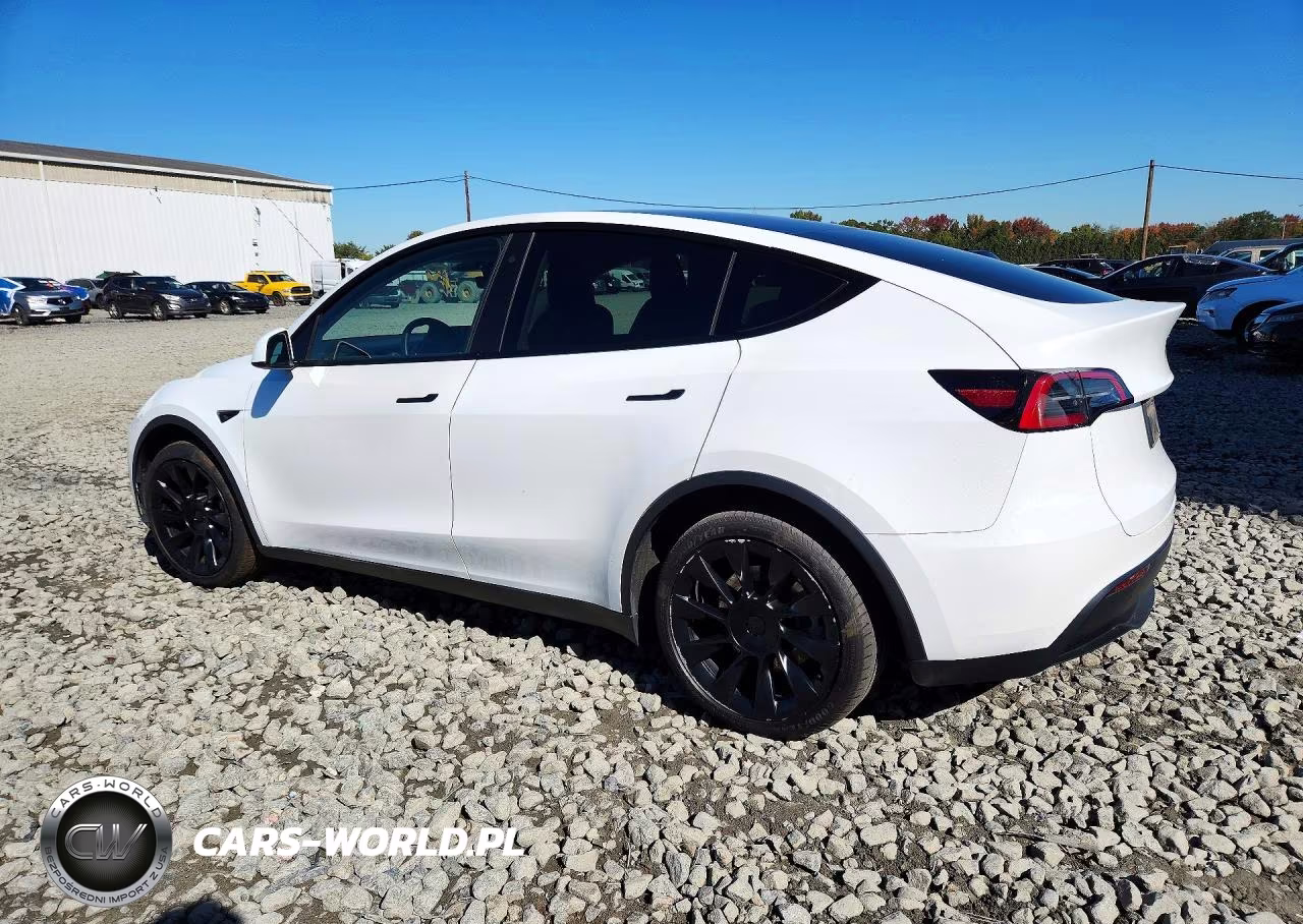 2023 Tesla Model Y VIN:7SAYGDEE7PA059519 - 2